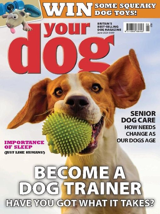 Title details for Your Dog by Warners Group Publications Plc - Available